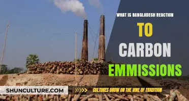 Bangladesh's Bold Response to Rising Carbon Emissions: Strategies and Challenges