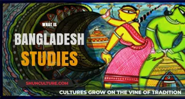 Exploring Bangladesh Studies: Culture, History, and Society Unveiled