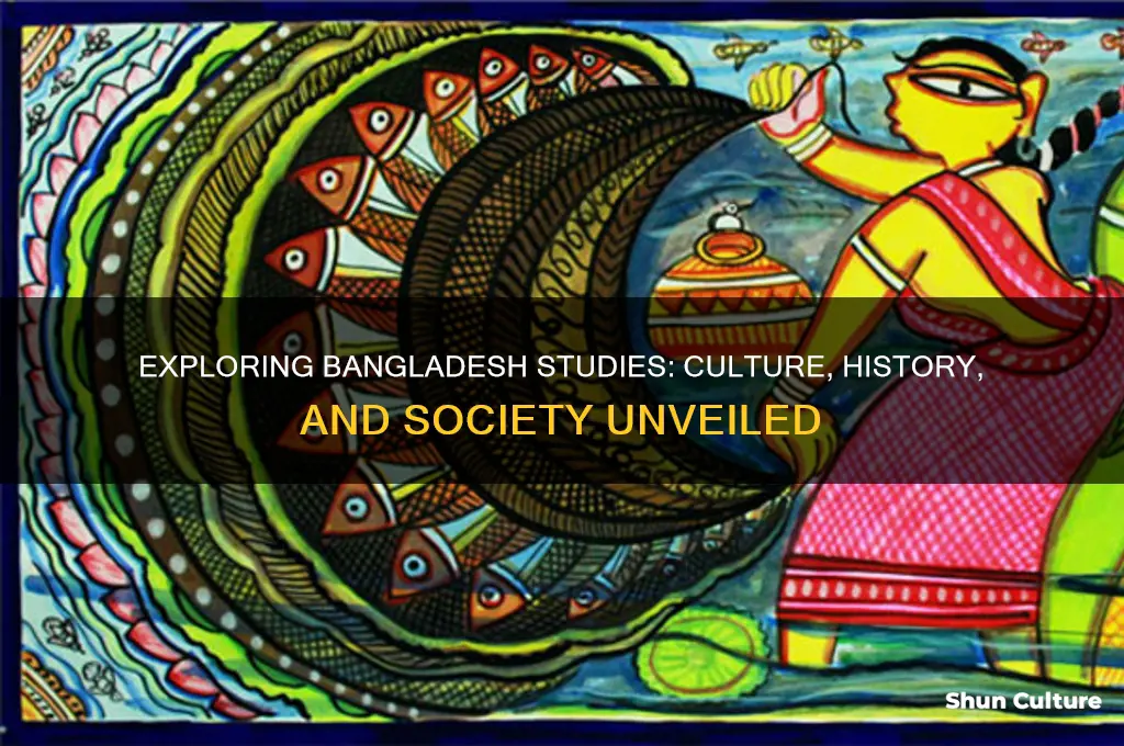 what is bangladesh studies