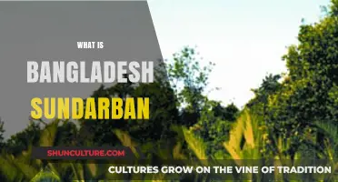 Exploring Bangladesh's Sundarban: A Majestic Mangrove Forest and Wildlife Haven