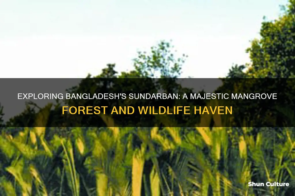 what is bangladesh sundarban