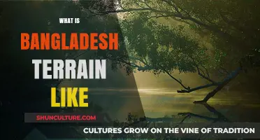 Exploring Bangladesh's Diverse Terrain: Rivers, Plains, and Hills