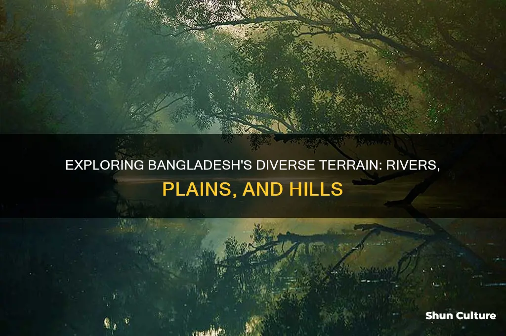 what is bangladesh terrain like