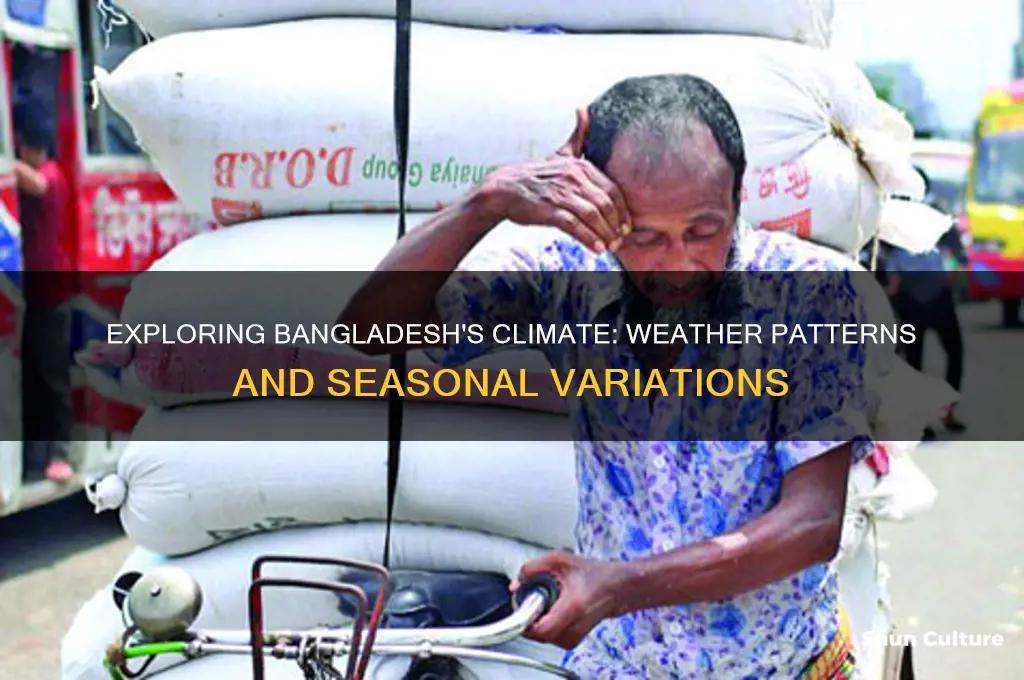 what is bangladesh weather like