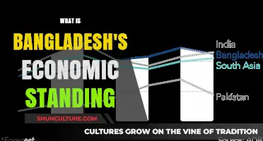 Bangladesh's Economic Growth: A Comprehensive Analysis of Its Global Standing