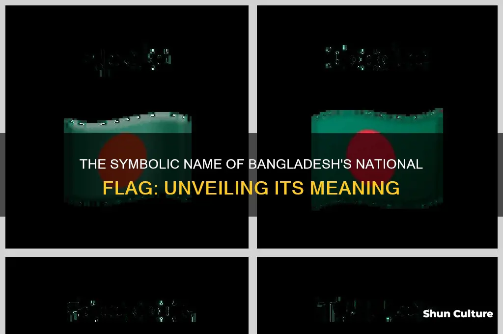 what is bangladeshs flags name