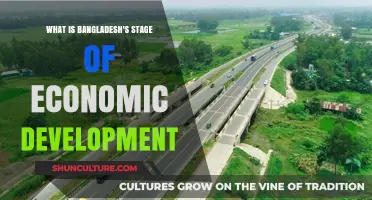 Bangladesh's Economic Development: Current Stage and Future Prospects
