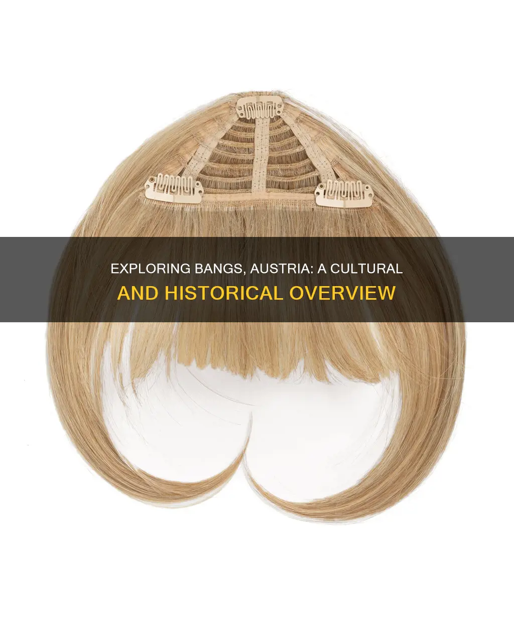 what is bangs austria
