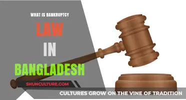 Understanding Bankruptcy Law in Bangladesh: Key Provisions and Procedures