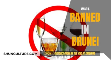 Brunei's Banned: Exploring the Country's Prohibited Items and Activities