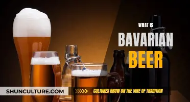 Bavarian Beer: A Historical Drinking Experience