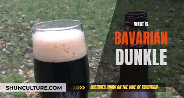 A Deep Dive into the Bavarian Dunkel Beer