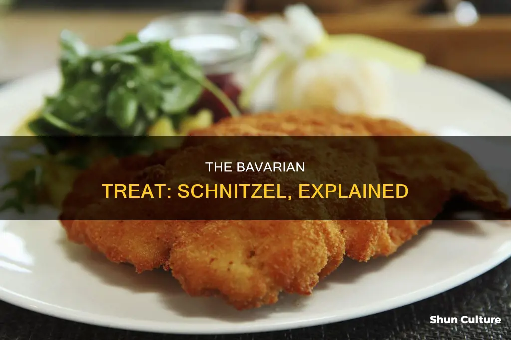 what is bavarian schnitzel