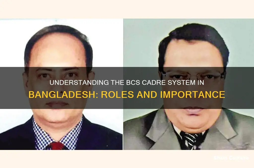 what is bcs cadre in bangladesh