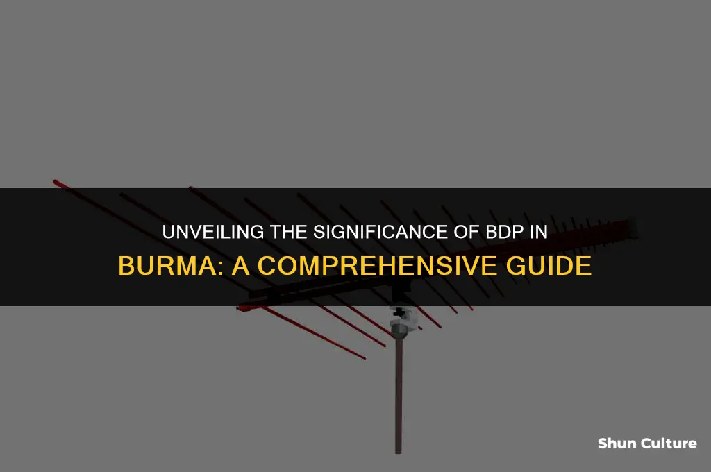 what is bdp in burma