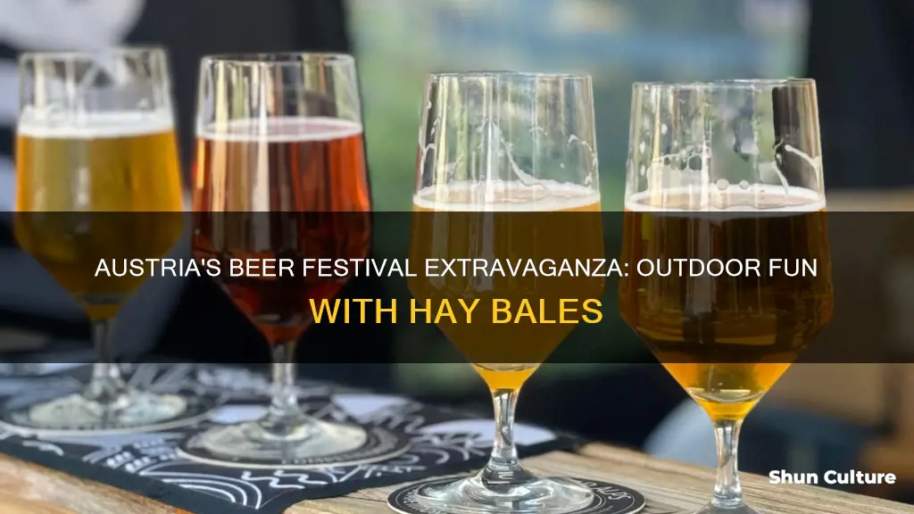 what is beer festival outdoors with hay bales in austria