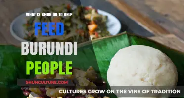 Global Efforts to Combat Hunger in Burundi: A Comprehensive Overview