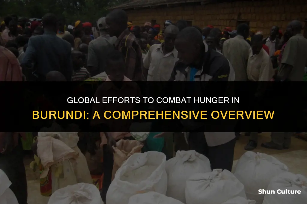 what is being do to help feed burundi people