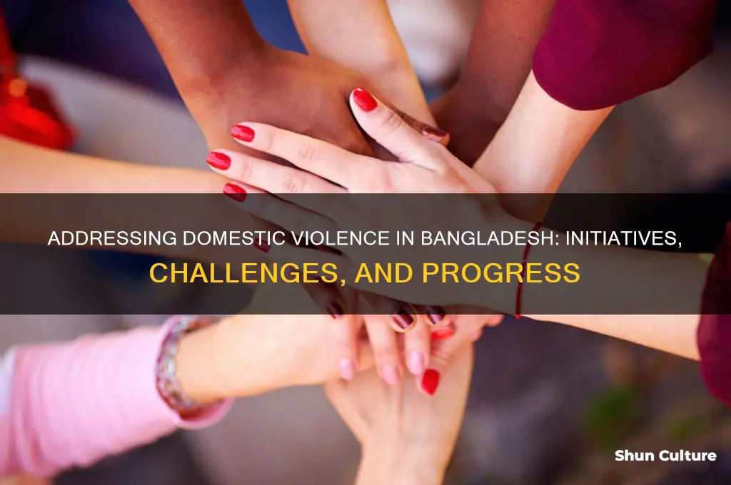what is being done about domestic violence in bangladesh