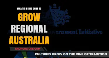Developing Regional Australia: Current Initiatives and Future Plans