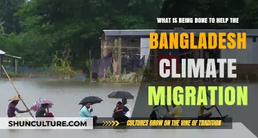 Addressing Bangladesh's Climate Migration Crisis: Initiatives and Global Efforts