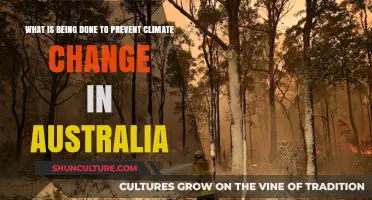 Australia's Climate Change Mitigation Efforts
