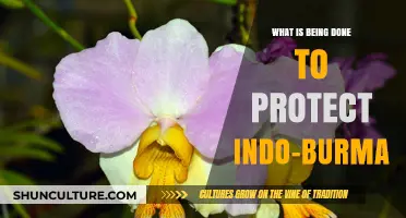 Safeguarding the Rich Biodiversity of the Indo-Burma Region