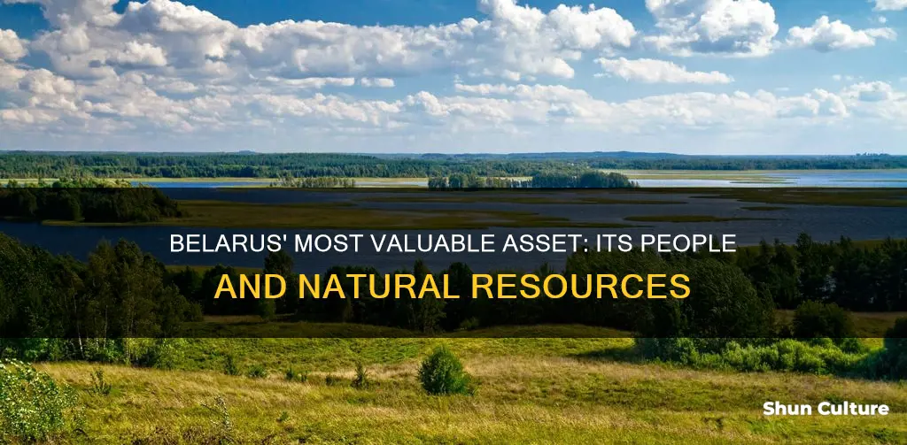 what is belarus biggest resource