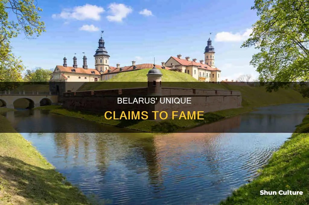 what is belarus famous for