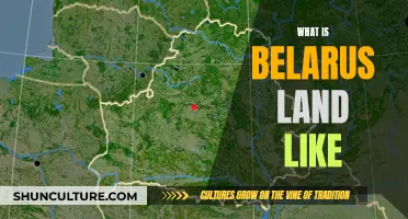 Belarus Land: A Natural Haven