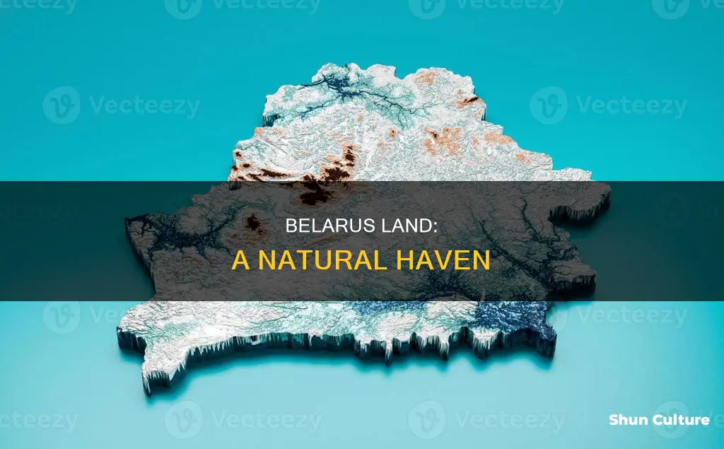 what is belarus land like