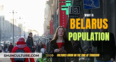 Belarus Population: Understanding the Country's Demographic Trends