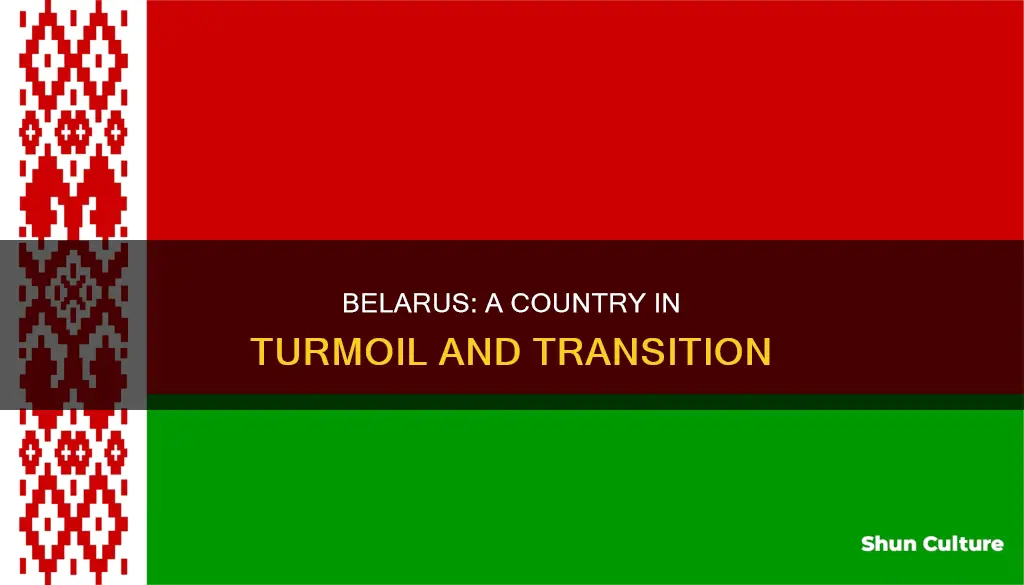 what is belarus r