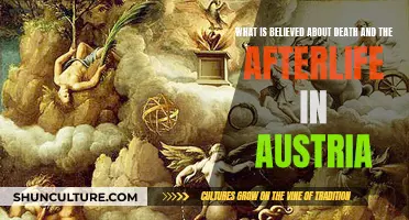 Exploring Austrian Death Beliefs: Afterlife and Spirituality