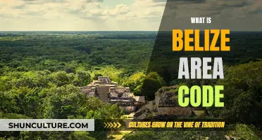 Belize's Calling Code Unveiled