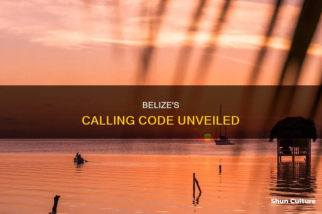 what is belize area code