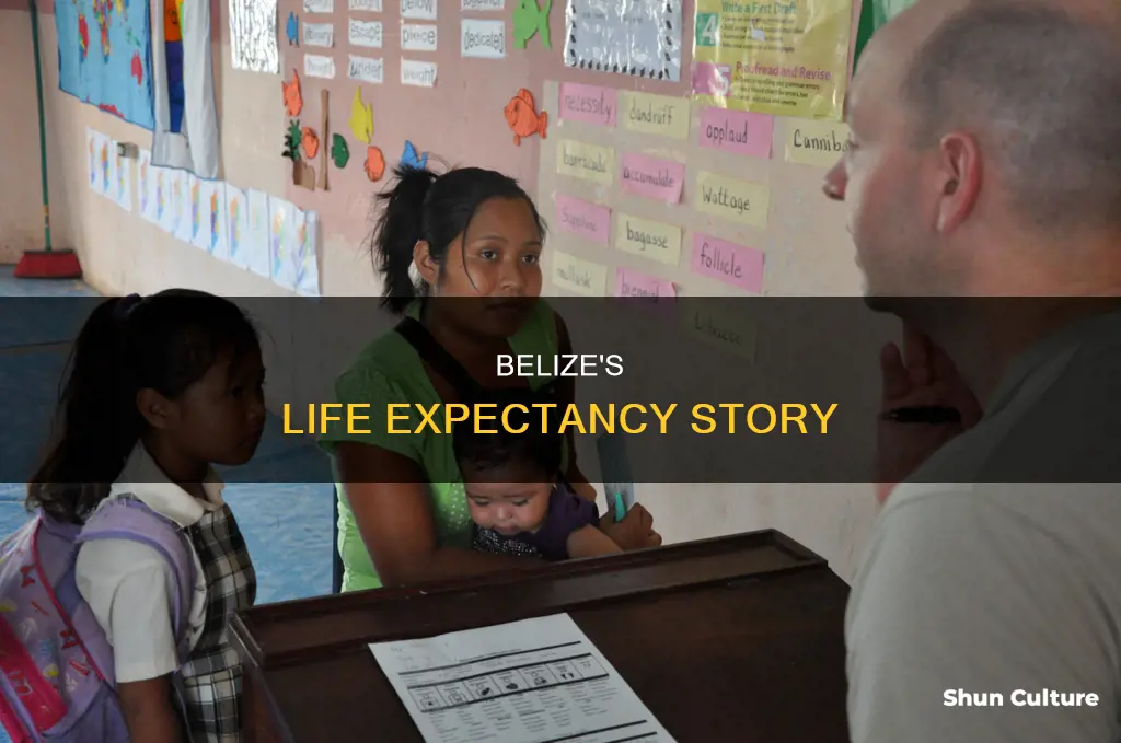 what is belize average life expectancy