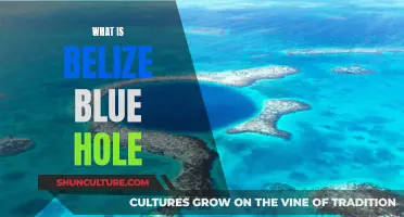 Belize Blue Hole: A Natural Wonder Explained