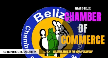 Belize Chamber of Commerce: A Guide to Understanding its Role and Impact