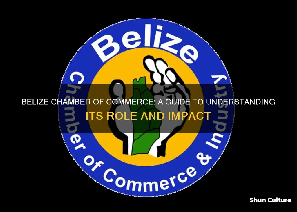 what is belize chamber of commerce