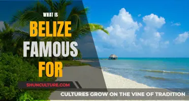 Belize's Renowned Attractions: A Comprehensive Overview