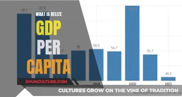 Belize's GDP Per Capita: Understanding the Country's Economic Landscape