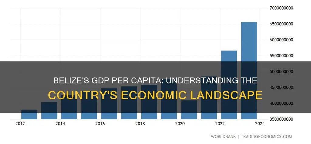 what is belize gdp per capita