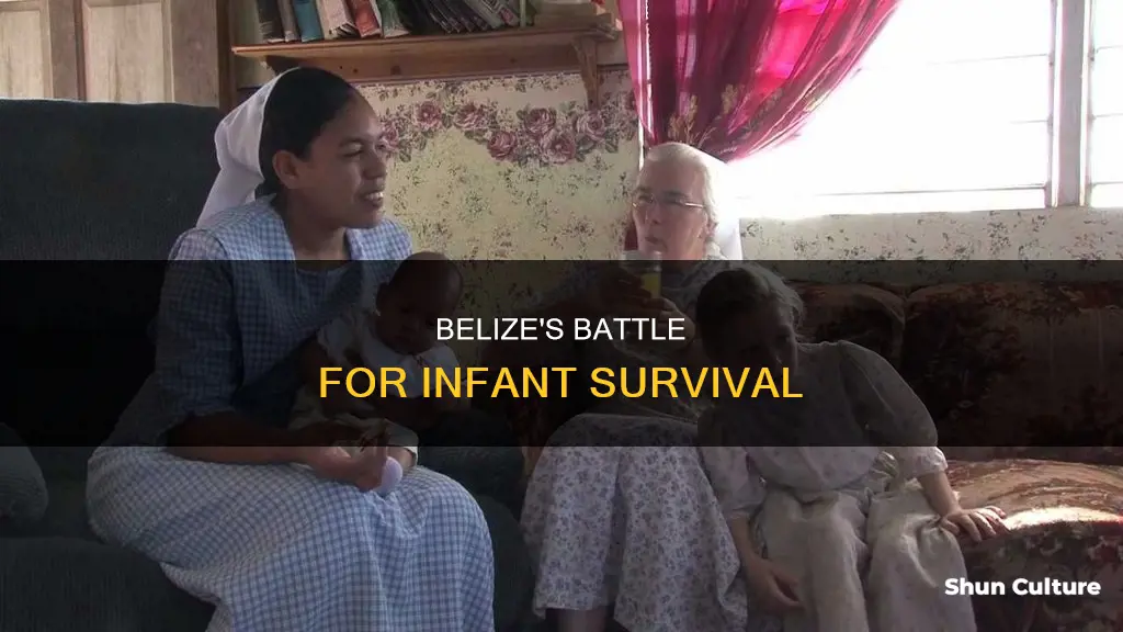 what is belize infant mortality rate