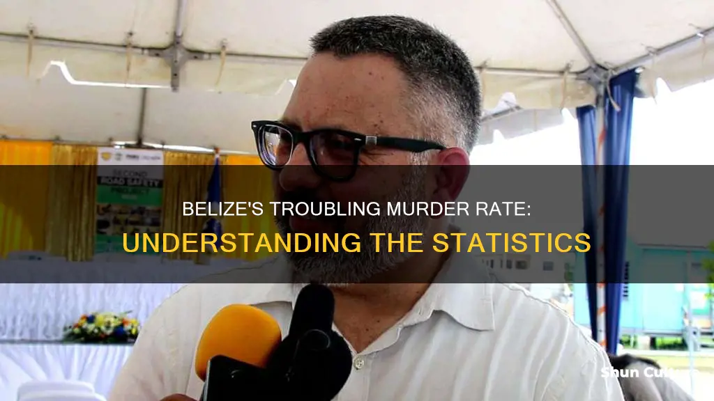 what is belize murder rate