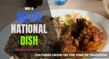 Belize's National Dish: A Cultural Fusion of Flavors