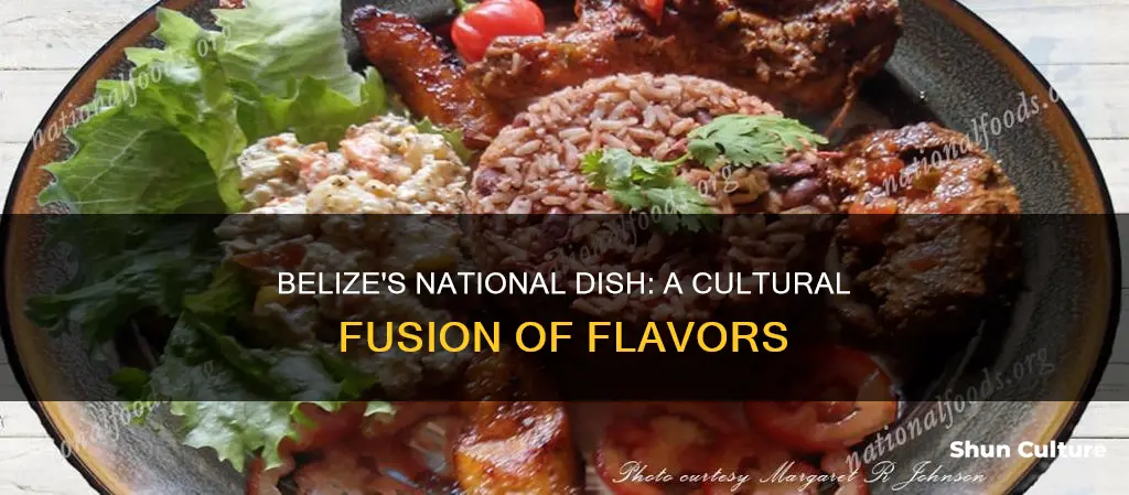 what is belize national dish