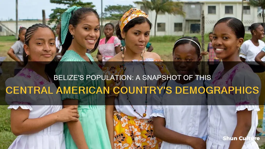 what is belize population