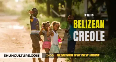 The Unique Language of Belize: Exploring the Roots and Evolution of Belizean Creole