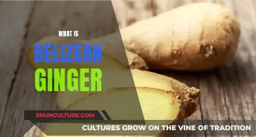 Belizean Ginger: A Tropical Super Spice